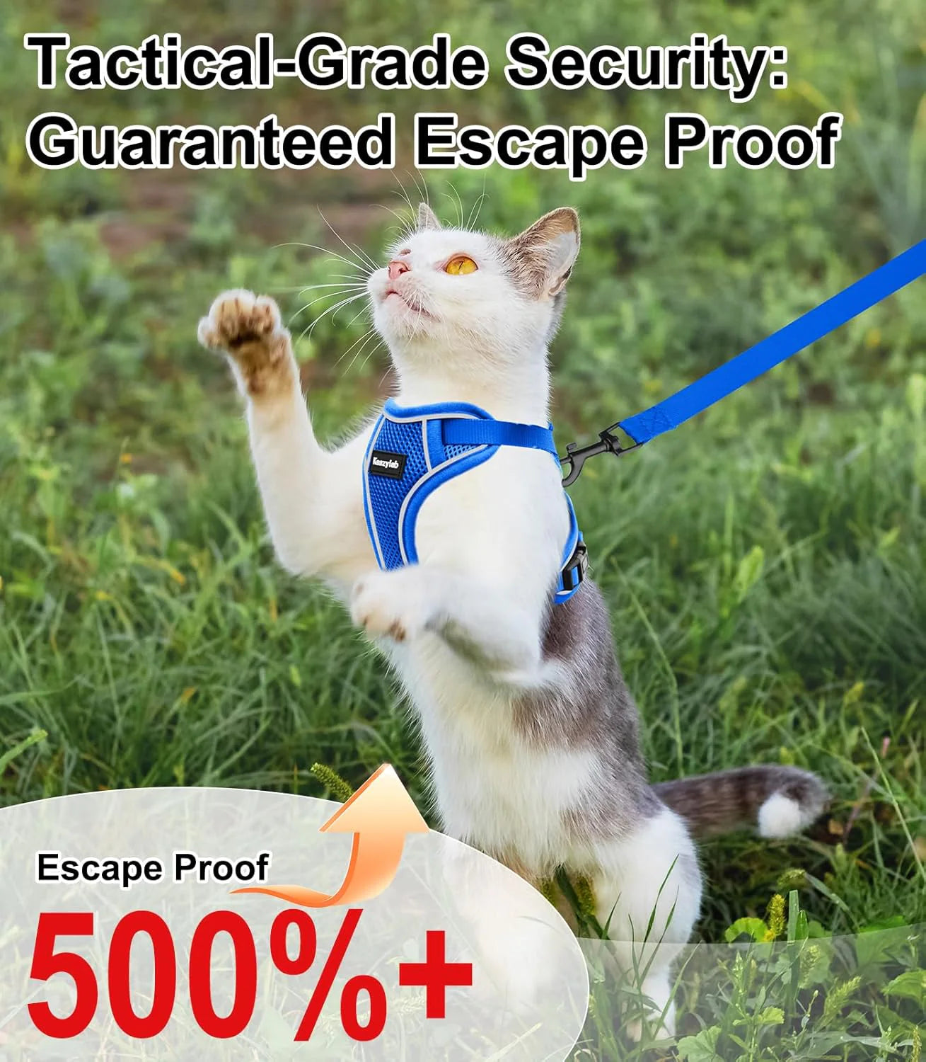 Cat Harness and Leash for Walking Escape Proof Soft Adjustable Cat Leash Breathable Comfortable Vest Easy to Wear Kitten Harness for Outdoor Travel Blue